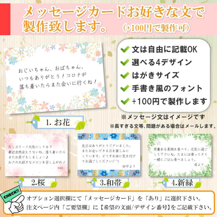 紅まどんな みかん 甘い 3kg 秀品 2023 御歳暮 食べ物 愛媛みかん ご当地 希少 ブランド 12月 旬 果物 高級 柑橘 通販 送料無料