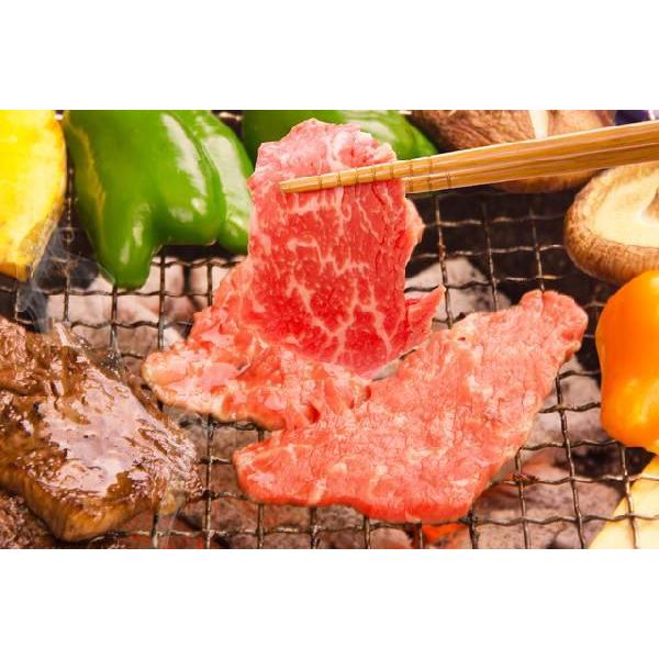 鳥取県産 焼肉セット 1.2ｋｇ (３〜５人前） ホルモン 牛肉 豚肉 鶏肉 焼き肉 バーベキュー  BBQ ファミリーセット たっぷり1,2キロ 送料無料