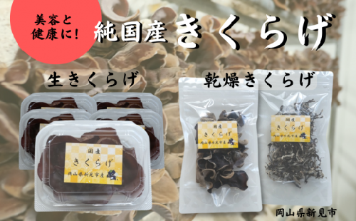 純国産無農薬きくらげ 生きくらげ70g×5パック 乾燥ホール1袋 乾燥スライス1袋