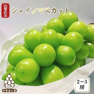 ふるさと納税 厳選 池田青果のシャインマスカット2房〜3房(1.2kg相当) ふるさと納税【1280515.. 山梨県山梨市