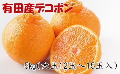 紀州有田産の大玉デコポン約5kg(12玉～15玉入り)※2024年1月中旬より