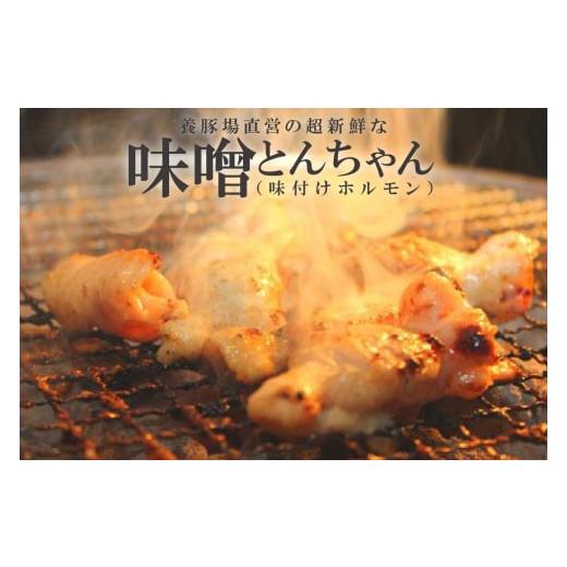 ふるさと納税 愛知県 常滑市 養豚場直営の超新鮮な味噌とんちゃん（味付けホルモン）