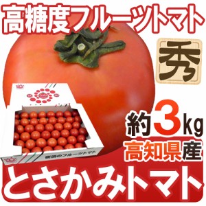 高知県夜須産 高糖度 夜須のフルーツトマト ”とさかみトマト” 秀品 約3kg 化粧箱 送料無料