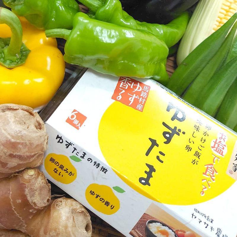 高知県産 野菜たっぷり10品目以上＋たまご「ゆずたま」野菜セット 採れたて 旬の新鮮お野菜 おまかせ詰め合わせ