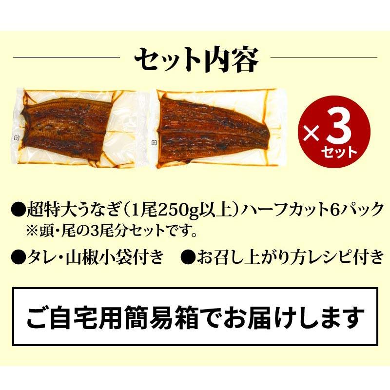 超特大うなぎハーフカット蒲焼 6パックセット 750g以上 6人前 国産うなぎ 蒲焼 土用の丑の日 土用 丑の日 ご自宅用 お取り寄せ 簡易箱 冷凍 送料無料