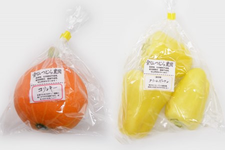 季節の旬野菜セット 6～10品種 詰め合わせ 産地直送   雲仙つむら農園   長崎県雲仙市