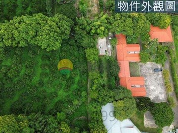 新埔農地地王柑橘果園｜新竹縣新埔鎮新北段