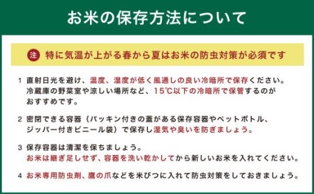 熊本・人吉球磨産 森のくまさん お米 5kg×12