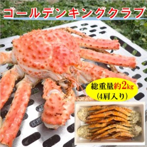 ゴールデンキングクラブ 総重量約2kg ボイル タラバガニ科 蟹 カニ