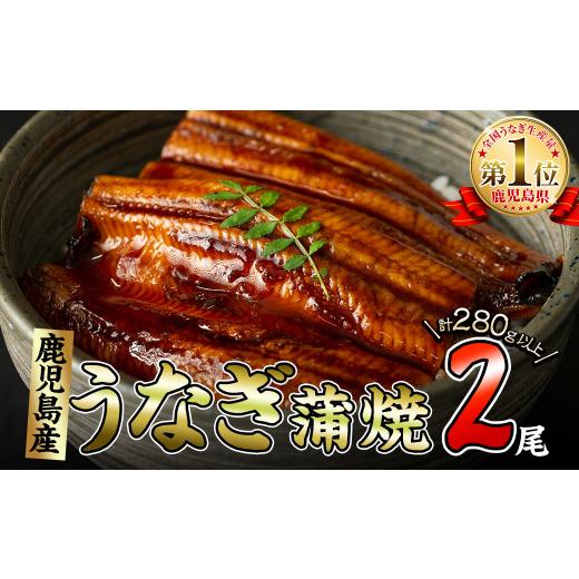 ふるさと納税 鹿児島県 志布志市 くすだ屋の極上うなぎ 2尾(140g×2)＜計280g以上＞ a3-147