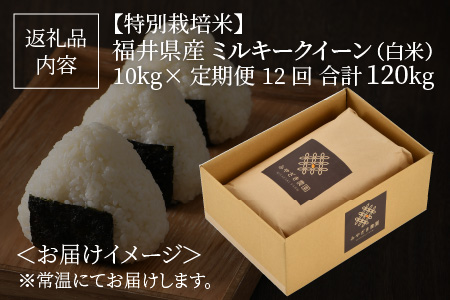 福井県産 ミルキークイーン10㎏×12回 計120kg ～化学肥料にたよらない有機肥料100%～ ネオニコフリー（白米） [O-13402_02]