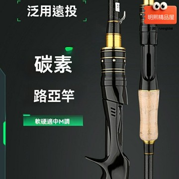 【強力打黑】路亞竿 槍柄竿 直柄竿 海竿 黑魚竿 中硬調 遠投竿 紡車輪 水滴輪 雷強專用 防咬線 淡水海釣