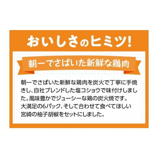 ふるさと納税 宮崎県 川南町 宮崎の技セット