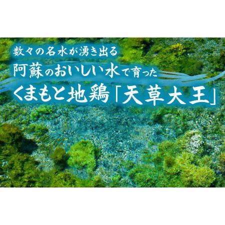 ふるさと納税 希少！くまもと地鶏　天草大王　もも肉　1kg 熊本県阿蘇市