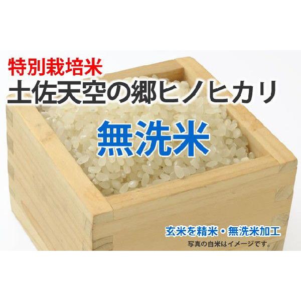 令和５年産新米・特別栽培米・土佐天空の郷ヒノヒカリ