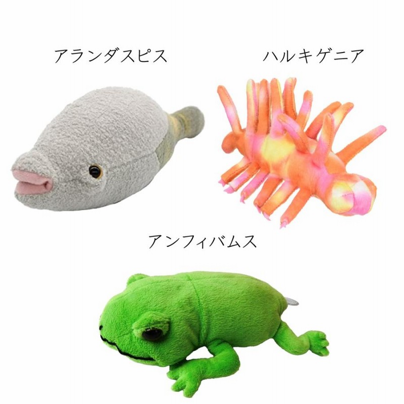 古代生物 ハイコウイクチス ディッキンソニア テロドゥス 