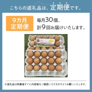 ☆彡9か月定期便☆彡　北杜のたまご（30個入）