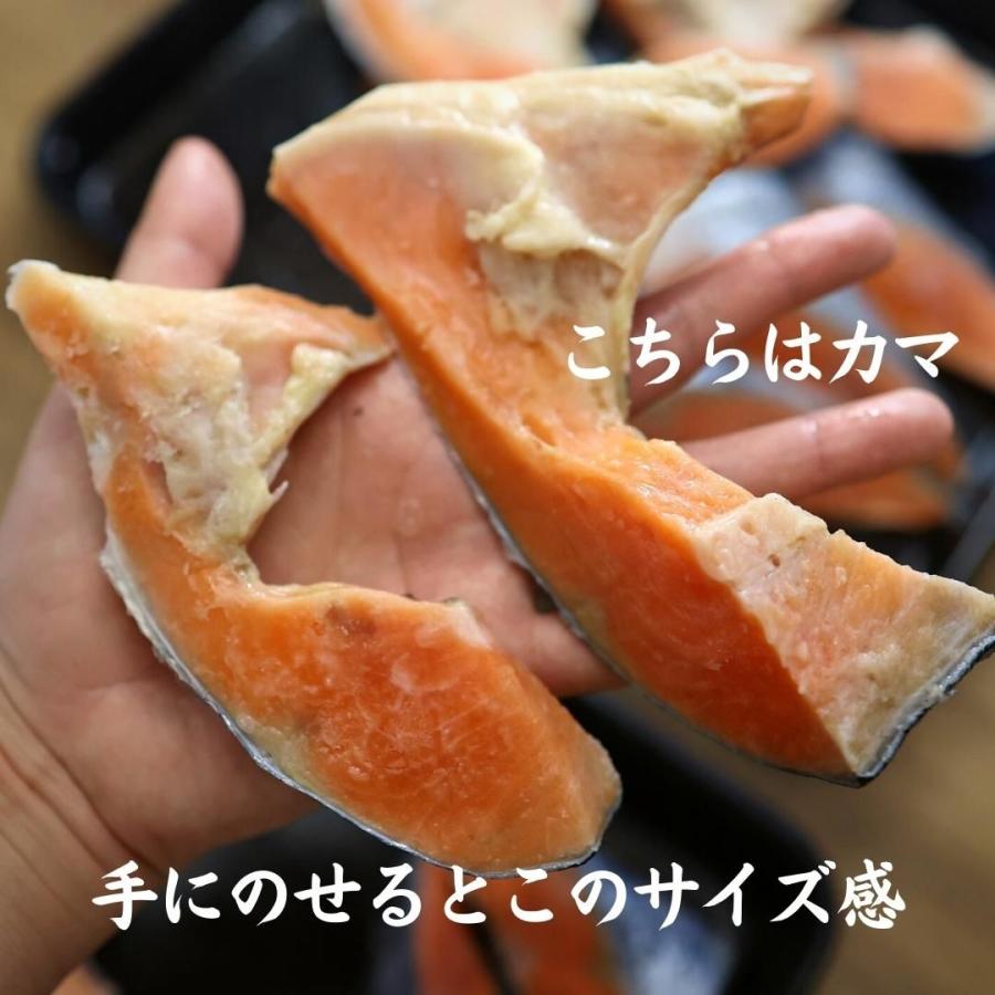 無塩 銀鮭切り落とし1kg　サケ　さけ　大きい　カマ　尾