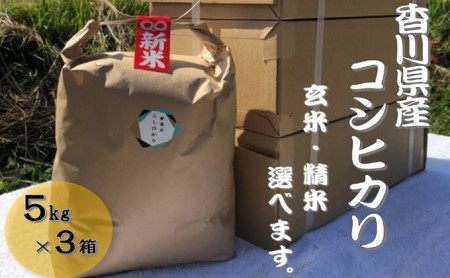 令和5年ふじもとファームの新米 精米×1箱、玄米×2箱