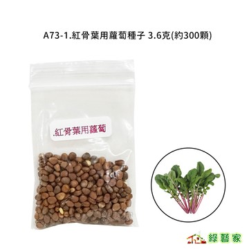 A73-1.紅骨葉用蘿蔔種子3.6克(約300顆)葉色濃綠，葉柄紫紅色，植株美觀。葉緣切刻，絨毛極少葉菜類【綠藝家】