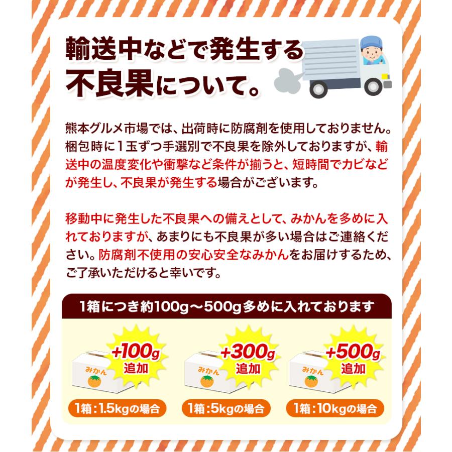 みかん 送料無料 10kg 訳あり 内容量9kg 補償分500g  規格外 サイズ不選別 熊本県産  極早生 は緑色傾向 ミカン 蜜柑 ご自宅用 ポイント消化