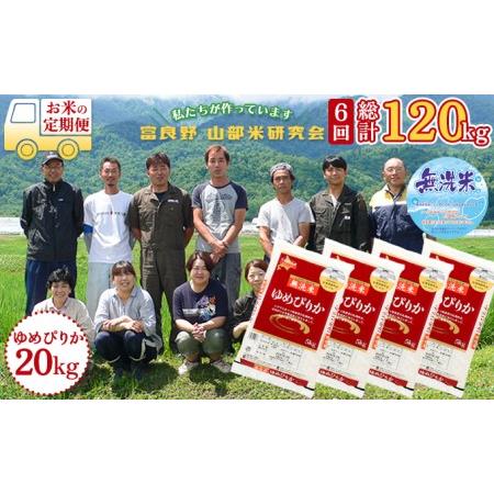 ふるさと納税 ◆6ヵ月定期便◆ 富良野 山部米研究会無洗米  5kg×4袋（20kg） 北海道富良野市