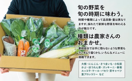 福元農園 旬のお野菜 おまかせセット 1箱（5～8品目）