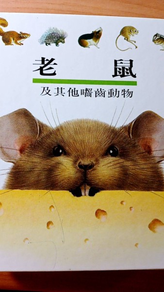 老鼠[二手書_良好]