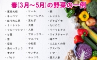 野菜 お楽しみ 定期便 2回 有機野菜 5～6品目 詰め合わせ セット 有機栽培 玉ねぎ とまと じゃがいも