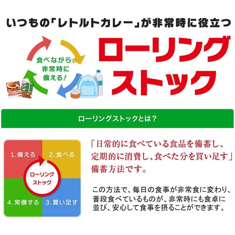 ハウスレトルトジャワカレー辛口 200G ×10個 レンジ化対応・レンジで簡単調理可能