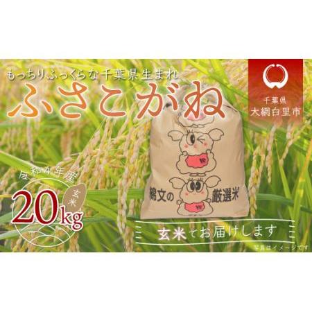 ふるさと納税 令和5年産 千葉県産「ふさこがね」玄米20kg（20kg×1袋） 千葉県大網白里市