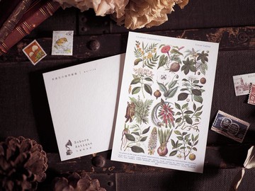 英國1910年百科圖鑑 復刻版明信片 H款