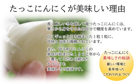 訳あり 田子町産にんにく家庭用バラ約800g