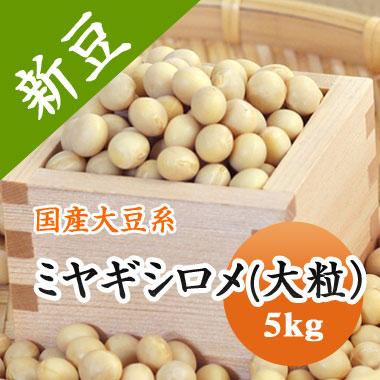 ミヤギシロメ大豆 宮城県産 大粒 令和４年産 5kg 業務用