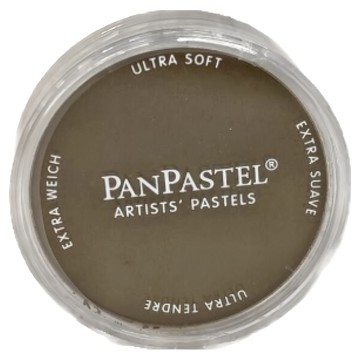 PANPASTEL 軟質藝術家盤粉彩餅 780.5 生赭 9ml  1色  1個