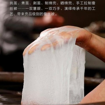 FDL蠶絲被100桑蠶絲加厚保暖冬被子母被二合一夏涼被春秋空調被芯
