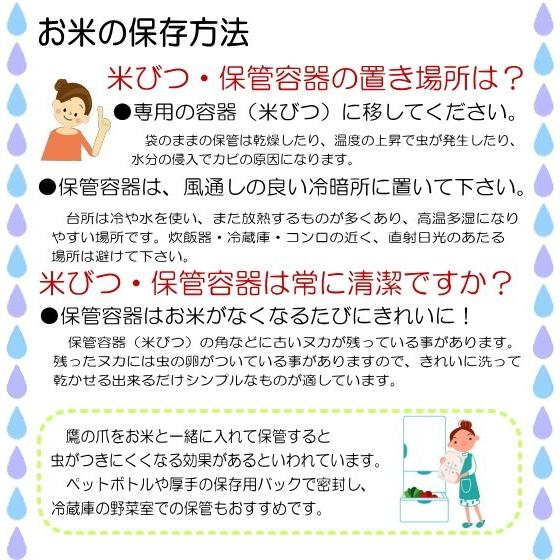 新米 米 コシヒカリ 15kg 5kg×3袋 福井県産 白米 令和5年産 送料無料