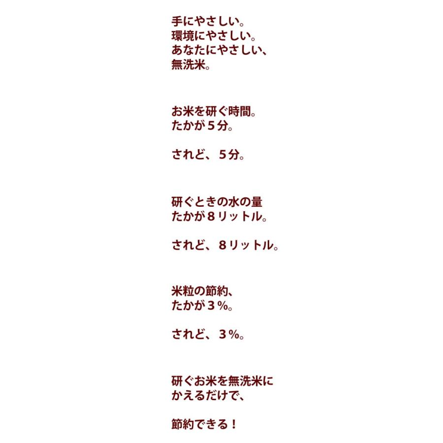 宮崎県産コシヒカリ 5kg×2 無洗米 送料無料 期間限定