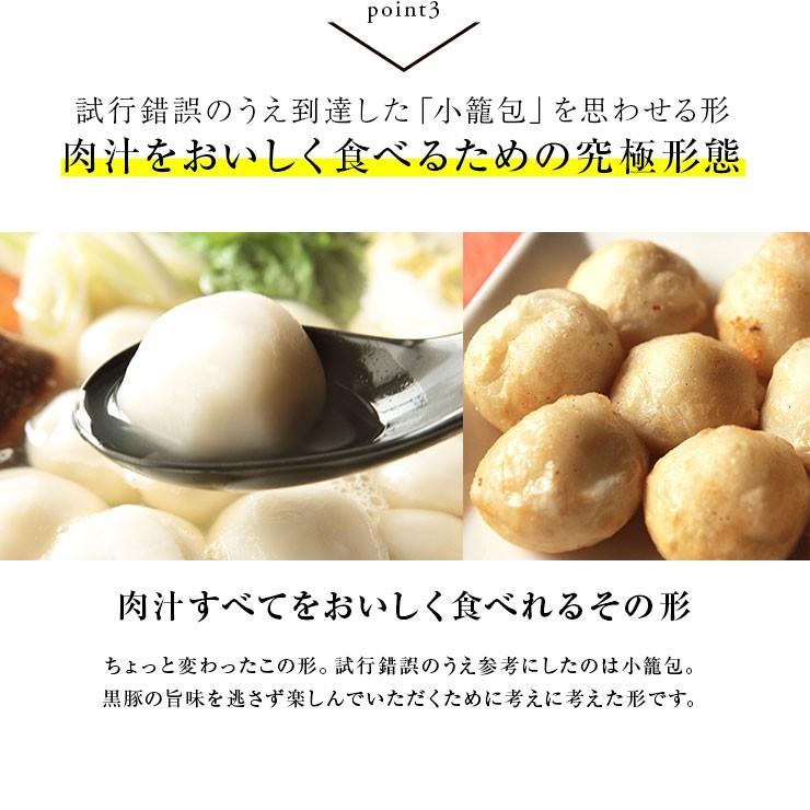 冷凍食品 送料無料 おもちのぎょうざ 黒豚もち餃子 20g×120個  冷凍 業務用 宮崎県 お取り寄せ 送料無料 人気には訳あり 食品 グルメ ギフト