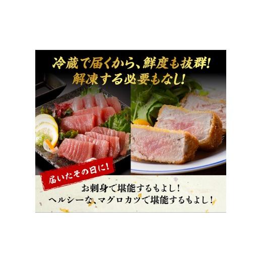 ふるさと納税 宮崎県 川南町 漁協直送！キハダマグロブロック（生）1kg