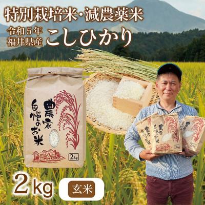 ふるさと納税 越前市 令和5年 新米 福井県産 栽培期間中農薬を減らして栽培したこしひかり 2kg(玄米)