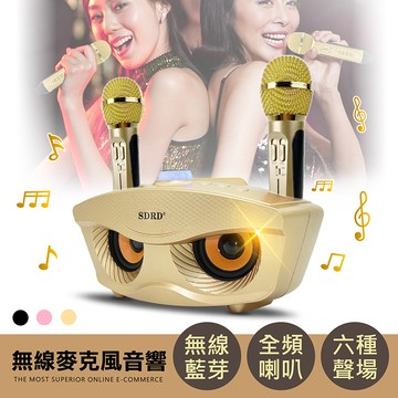 【充電式雙人行動KTV】貓頭鷹SDRD 行動KTV 無線藍芽麥克風 貓頭鷹音箱家庭 卡拉OK 露營唱歌