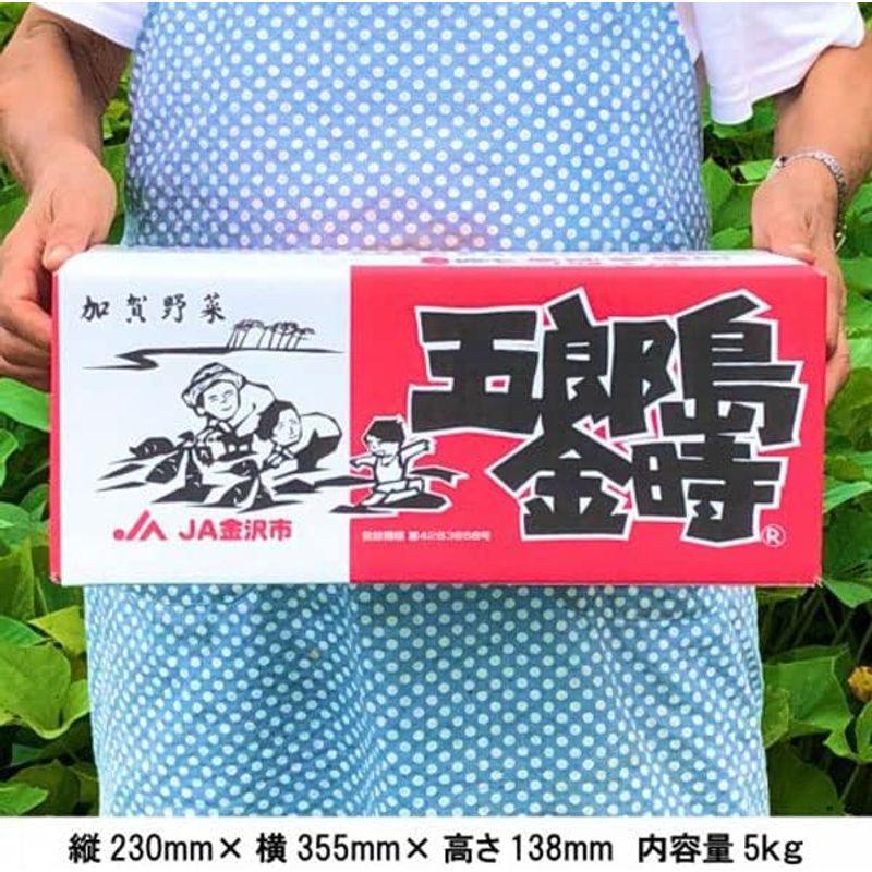 さつまいも・五郎島金時 5kg 等級：優品 Sサイズ ご家庭用加賀野菜ブランド芋・石川県産見た目小傷あり・生芋・産地直送野菜・ギフト