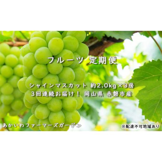 ふるさと納税 岡山県 赤磐市 ぶどう 2024年 先行予約 定期便 岡山名産 シャインマスカット 約2.0kg×3房 3回連続お届け！ 葡萄 岡山県 赤磐市産 フルーツ 果物…