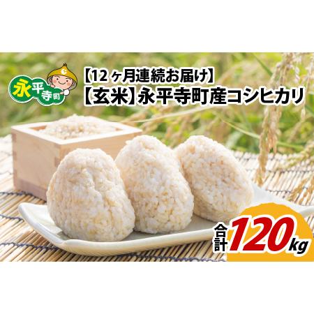 ふるさと納税  令和5年度産 永平寺町産 コシヒカリ 10kg×12ヶ月（計120kg） [K-033084] 福井県永平寺町