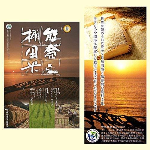 新米 令和5年産 石川産 奥能登 棚田コシヒカリ 10kg (5kg×2袋) 特別栽培米 棚田米 (白米精米 約4.5kg×2袋でお届け)