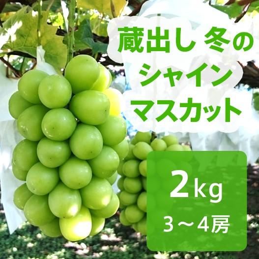 蔵出し 冬のシャインマスカット 約2kg   送料無料 冷蔵 クール 長野 産地直送 果物 フルーツ 葡萄  信州 小布施町 産直 数量限定