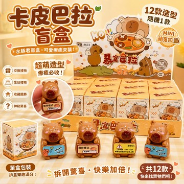 廢物專賣店 水豚盲盒 卡皮巴拉盲盒 水豚公仔盲盒 水豚公仔 水豚盲包 動物盲盒 桌上公仔 生日禮物 交換禮物