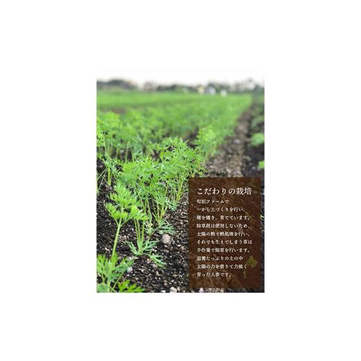 ふるさと納税 福島県 白河市 都内マルシェで人気のお野菜！ 甘みたっぷりフルーツにんじん 5kg F21R-196