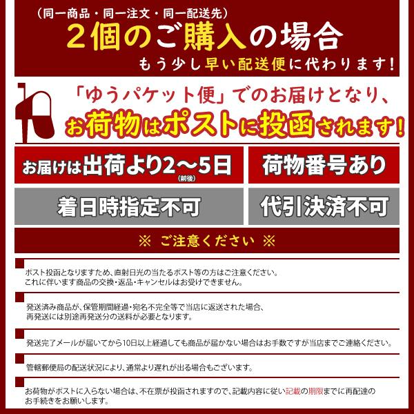 送料無料  生パスタ リングイネ 200g ポイント消化 ポイント利用 グルメ ワンコイン以下 お試し 人気 おすすめ  食品 グルメ 通販 メール便